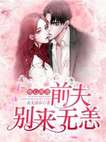 婚心漫漫:前夫别来无恙