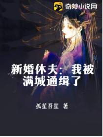 新婚休夫:我被满城通缉了