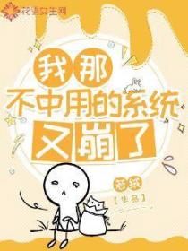 我那不中用的系统又崩了