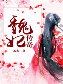 魏妃传奇