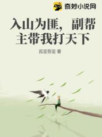 入山为匪,副帮主带我打天下