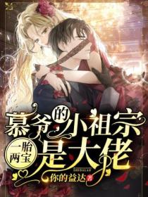 一胎两宝:慕爷的小祖宗是大佬