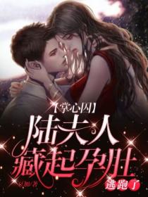 掌心囚:陆夫人藏起孕肚逃跑了