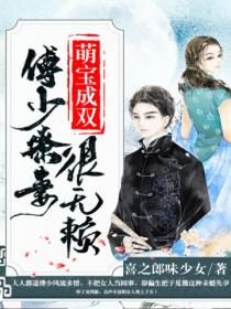 萌宝成双:傅少撩妻很无赖