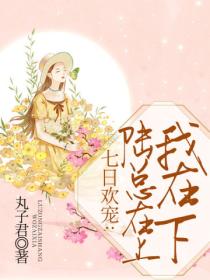 七日欢宠:陆总在上,我在下