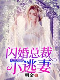 天价追捕:闪婚总裁小逃妻