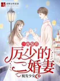 一夜惊喜:厉少的二婚妻