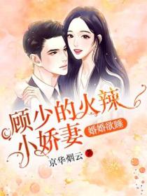婚婚欲睡,顾少的火辣小娇妻