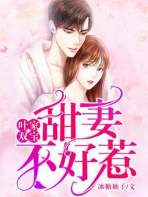 叶家双宝:甜妻不好惹