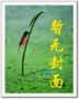 钢琴王妃