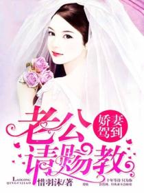 娇妻驾到:老公,请赐教