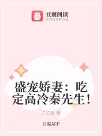 盛宠娇妻:吃定高冷秦先生!