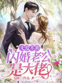 无爱不欢:闪婚老公是大佬