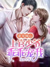 妻见倾心,上官少爷乖乖宠我