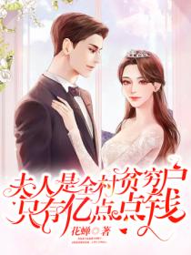 夫人是全村贫穷户,只有亿点点钱