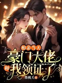 相亲当天,豪门大佬和我领证了