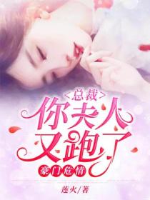 豪门危情:总裁你夫人又跑了