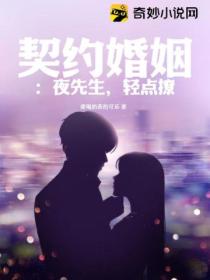 契约婚姻：夜先生，轻点撩