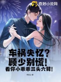 车祸失忆?顾少别慌!看你小乖乖三头六臂!