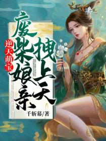 逆天萌宝:废柴娘亲拽上天