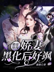 婚途漫漫:娇妻黑化后好飒
