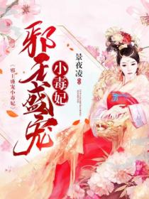 邪王盛宠小毒妃