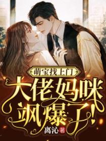 萌宝找上门:大佬妈咪飒爆了!