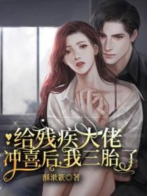 给残疾大佬冲喜后,我三胎了