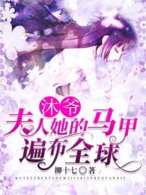 沐爷,夫人她的马甲遍布全球
