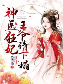 神医狂妃,王爷请下榻