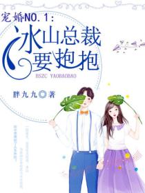 宠婚No.1:冰山总裁要抱抱