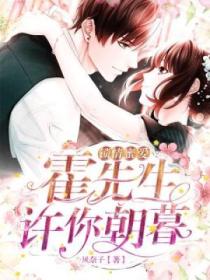 锁情蜜爱:霍先生,许你朝暮