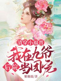 清穿小福晋:我在九爷后院当团宠