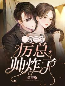一胎三宝:厉总帅炸了