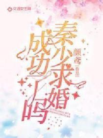 秦少求婚成功了吗
