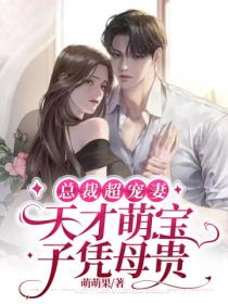 总裁超宠妻,天才萌宝子凭母贵