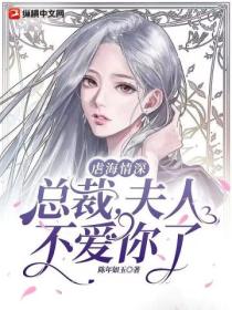 虐海情深,总裁,夫人不爱你了