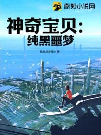 神奇宝贝:纯黑噩梦