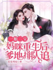 一胎二宝:妈咪重生后爹地排队追