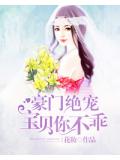 七夜强宠:宝贝,继续