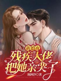 新婚夜,残疾大佬把她亲哭了