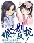 五夫寻妻:娘子别反抗!