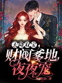 天降双宝,财阀爹地夜夜宠