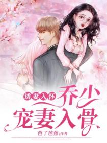 诱妻入怀:乔少宠妻入骨