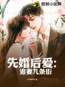 先婚后爱:追妻九条街