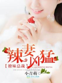 撩妹总裁:辣妻凶猛