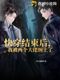 快穿结束后,我被两个大佬缠上了