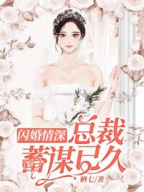 闪婚情深:总裁蓄谋已久