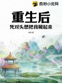重生后,死对头想把我藏起来