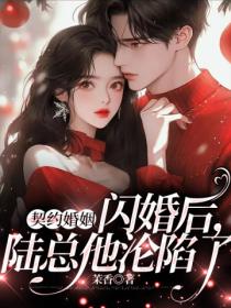 契约婚姻:闪婚后,陆总他沦陷了